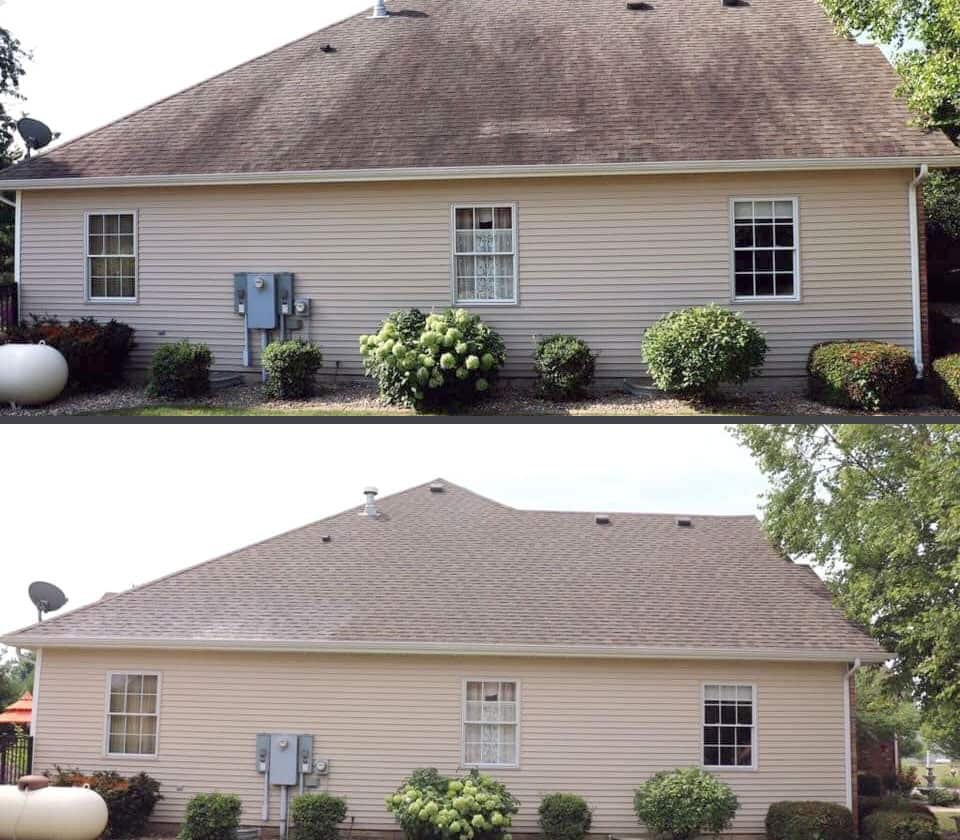 Clean shingle roof results